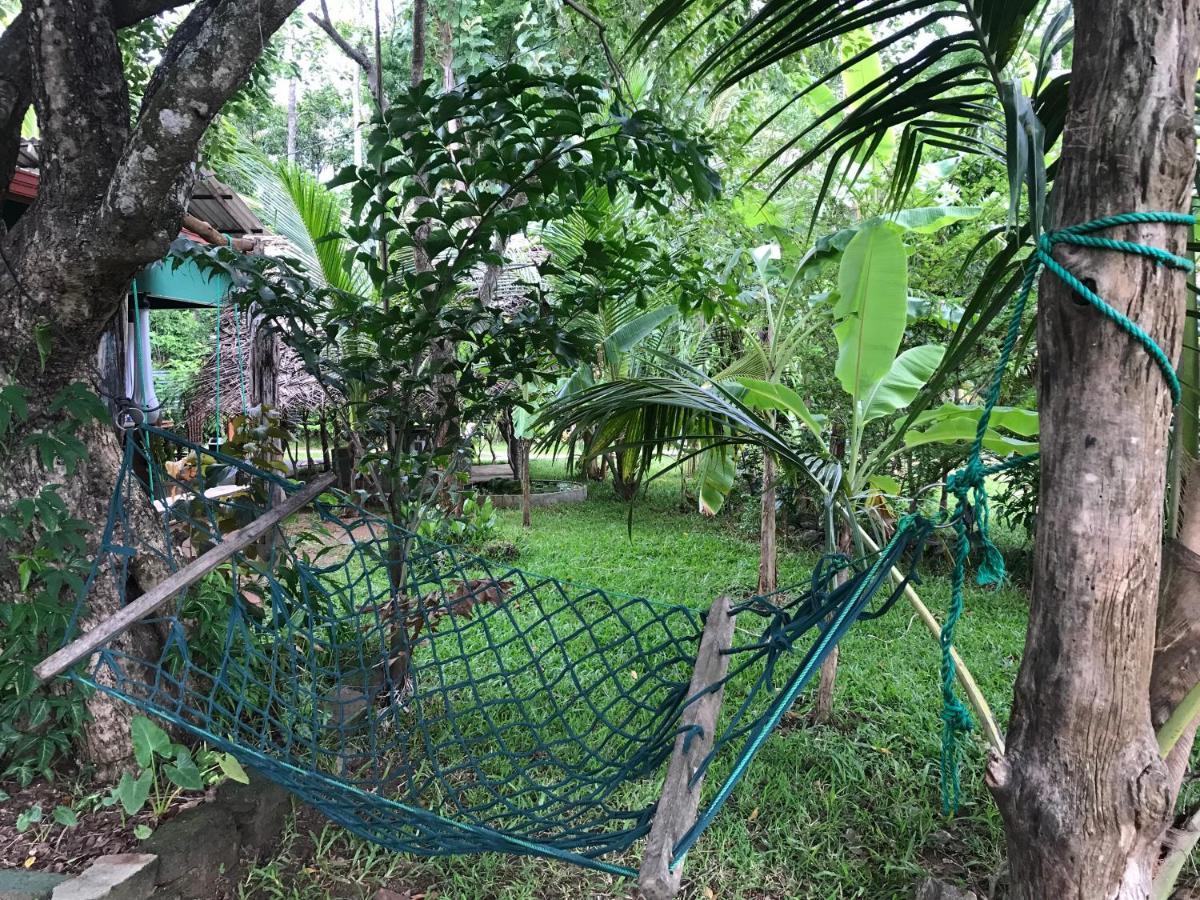 Sigiriya Village Home Stay Exterior photo